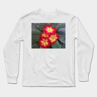 102018 petunias Long Sleeve T-Shirt